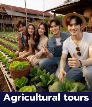 Agricultural tours in thailand