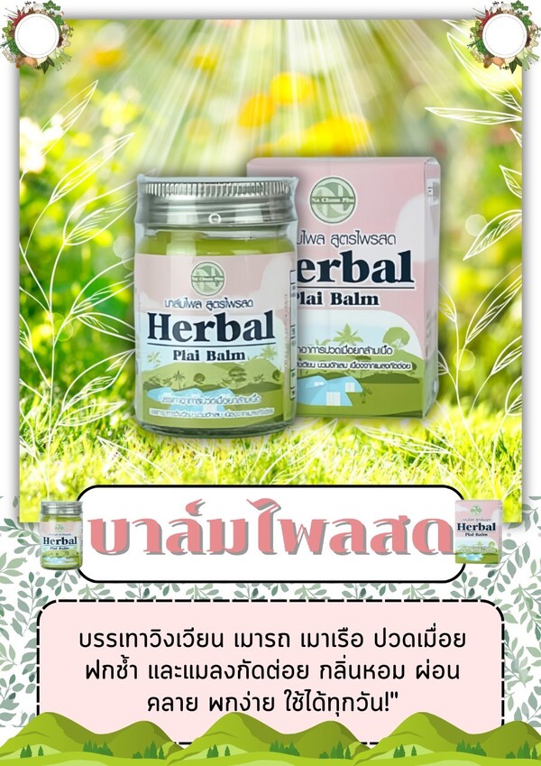 นาชมภูบาล์มไพลสด